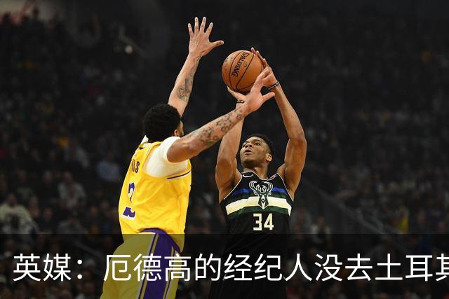 英媒：厄德高的经纪人没去土耳其，也没和加拉塔萨雷达成转会协议